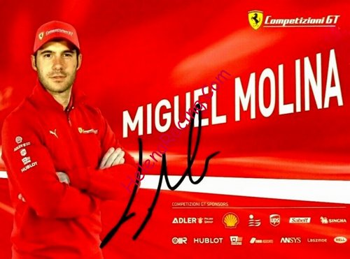 Card 2019 WEC-GTE (S).jpg