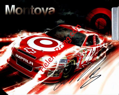 Card 2010 Sprint Cup (S).jpg