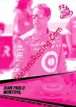 2014 Pass-Pink.jpg