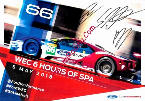 Card 2018 WEC-GTE-Spa (S).jpg
