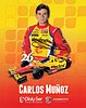 Card 2013 Indy Car (S)-.jpg