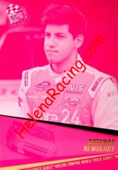 2014 Pass-Pink.JPG