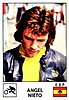 1974 Panini.jpg