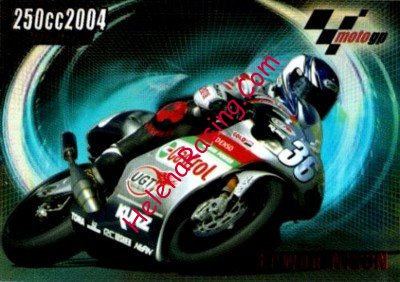 2004 MotoGP.jpg
