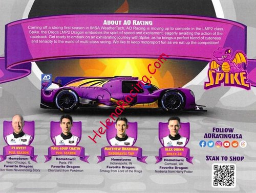 Card 2024 Daytona 24 h Verso (NS).jpg