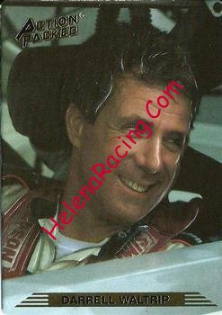 1993 Action.jpg