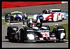 Card 2009 ELMS-LMP1 (NS).jpg