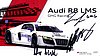 Card 2014 Daytona 24 hours (S).JPG