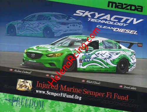 Card 2013 Daytona 24 h (NS).jpg