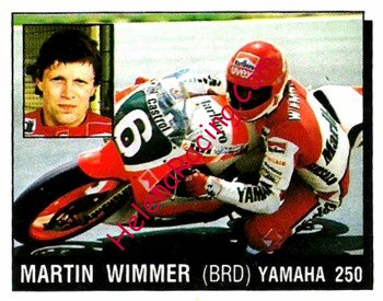1987 Panini.jpg