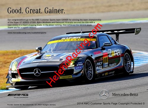 Card 2014 Super-GT 300 (NS).jpg