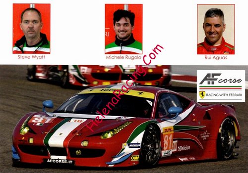 Card 2015 ELMS-LMGTE (NS).jpg